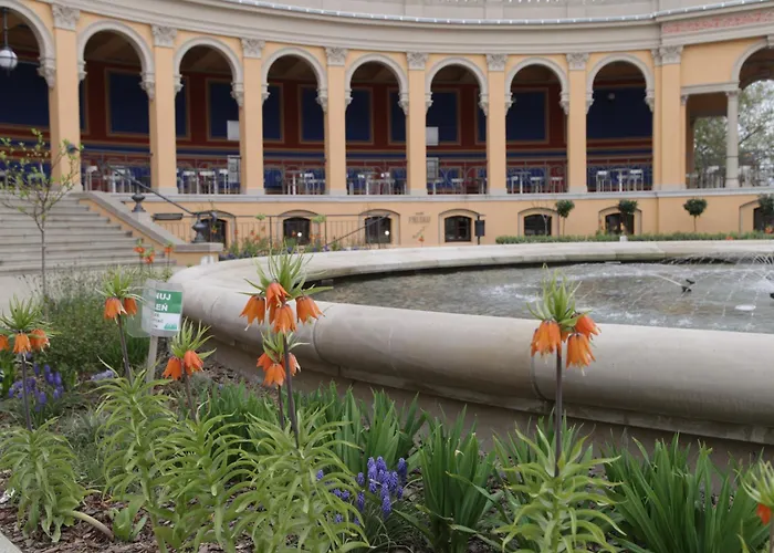 Junior * Вроцлав